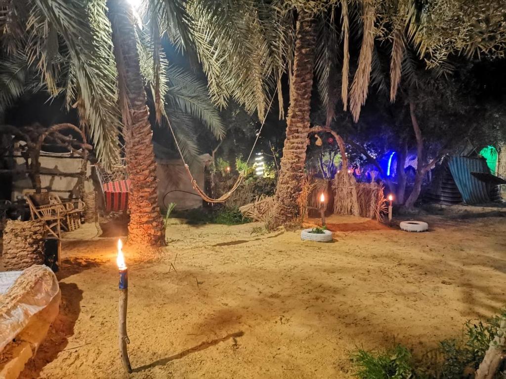 DESERT ESCAPE SIWA -WITH PALM & OLIVE GARDEN - HOT SPRING